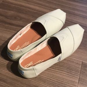 Mint canvas TOMS